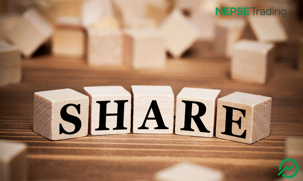 युनाइटेड मोदी हाइड्रोपावरले शतप्रतिशत हकप्रद निष्कासन गर्दै